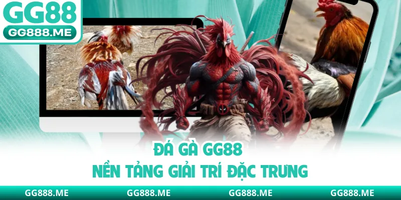 Đá gà GG88 nền tảng giải trí đặc trưng