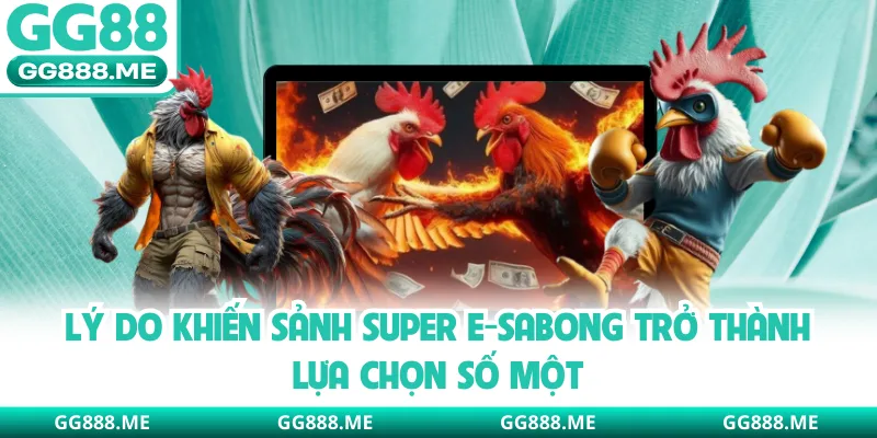 Lý do khiến sảnh Super E-Sabong trở thành lựa chọn số một